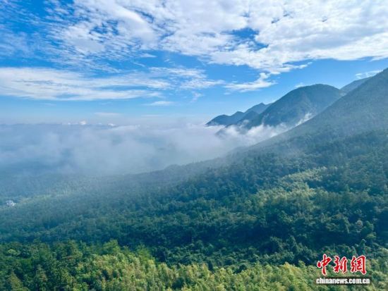 ͼΪ����®ɽ���ת�磬�������ڣ���ɴ���ơ�(����ͼ)��Ө ��