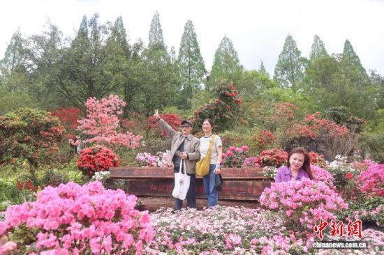 ��������� ������ ��