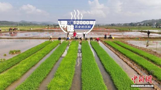 ͼΪ���굾��ϰ��2026�ꡰ�����š��Ļ���ֳ����������� ��