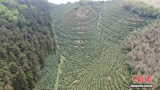 ����ʱ�ڣ����Ľ����ƾ�ɽ���������ܱߵĲ�ɽ������ ��