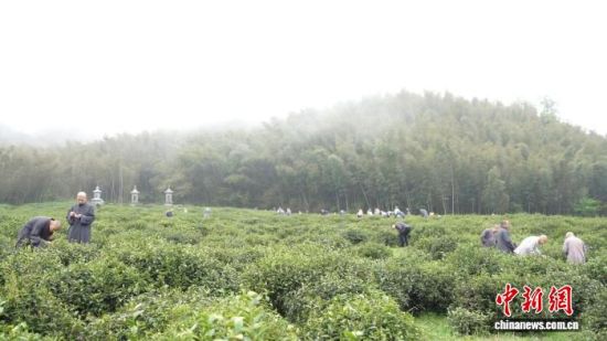 ����ʱ�ڣ�ǧ���ɲ���������ܱߵ��ϰ�Ķ��԰�ȫ�����¡����¡��ɲ衣�������¹�ͼ