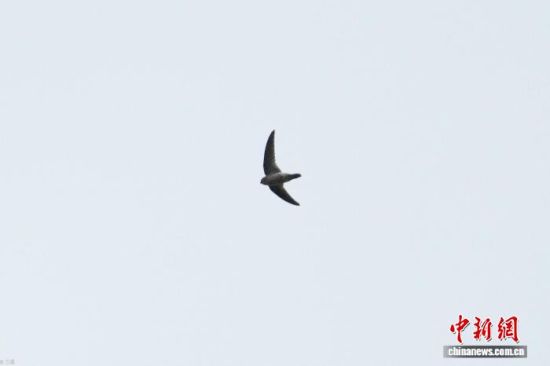 6��19�գ��������񰮺����ڽ�����Դɭ��������Ҽ���Ȼ�������Ĺ�ɽƬ�����㵽�����˿�ࡣ� ��2