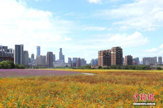 江西南昌:城市花海绽放 生态美景引客来